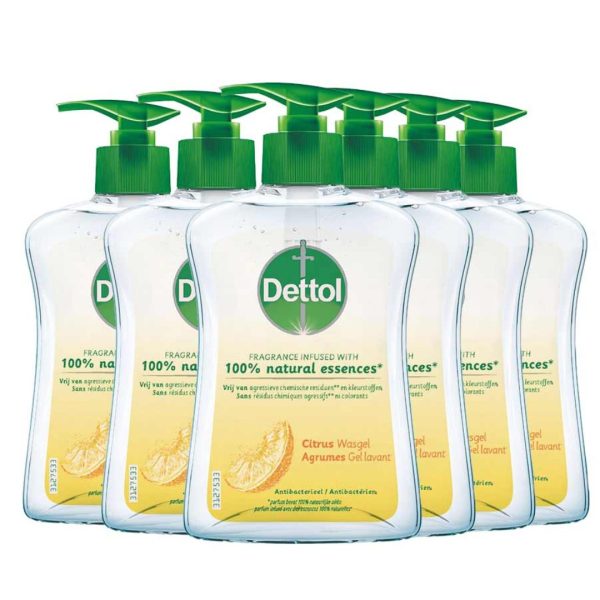 Dettol Handzeep Pompje Citrus (6 stuks)